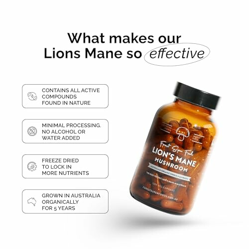 Lion's Mane supplement benefits and features.